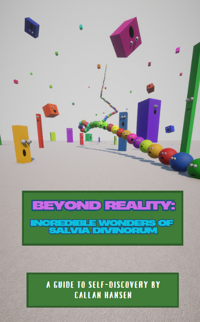 Beyond Reality Book Cover