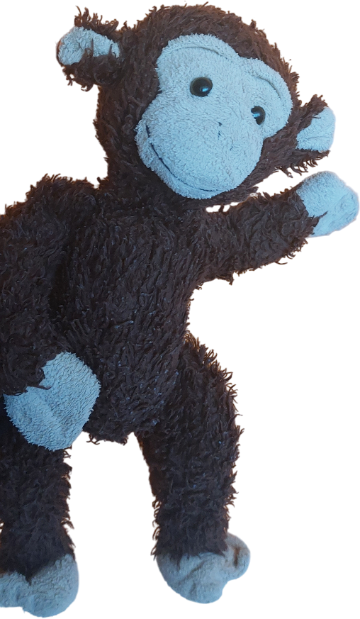 Cheeky Monkey Charlie